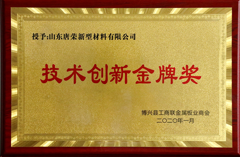 技術創新金牌獎